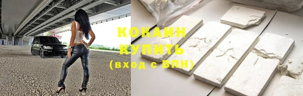 гашик Пестово