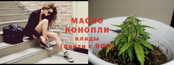 дживик Переславль-Залесский