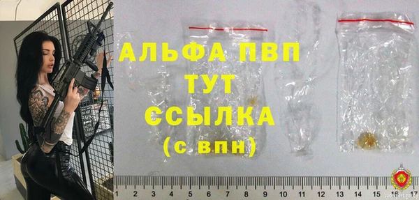 ПСИЛОЦИБИНОВЫЕ ГРИБЫ Осинники