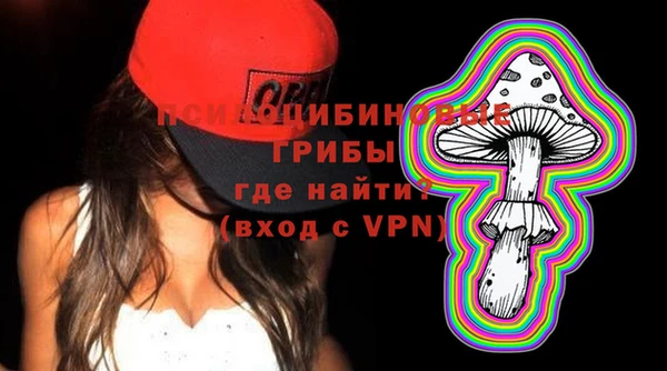 ПСИЛОЦИБИНОВЫЕ ГРИБЫ Осинники