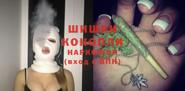 гашик Пестово