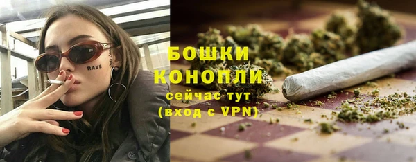 ПСИЛОЦИБИНОВЫЕ ГРИБЫ Осинники