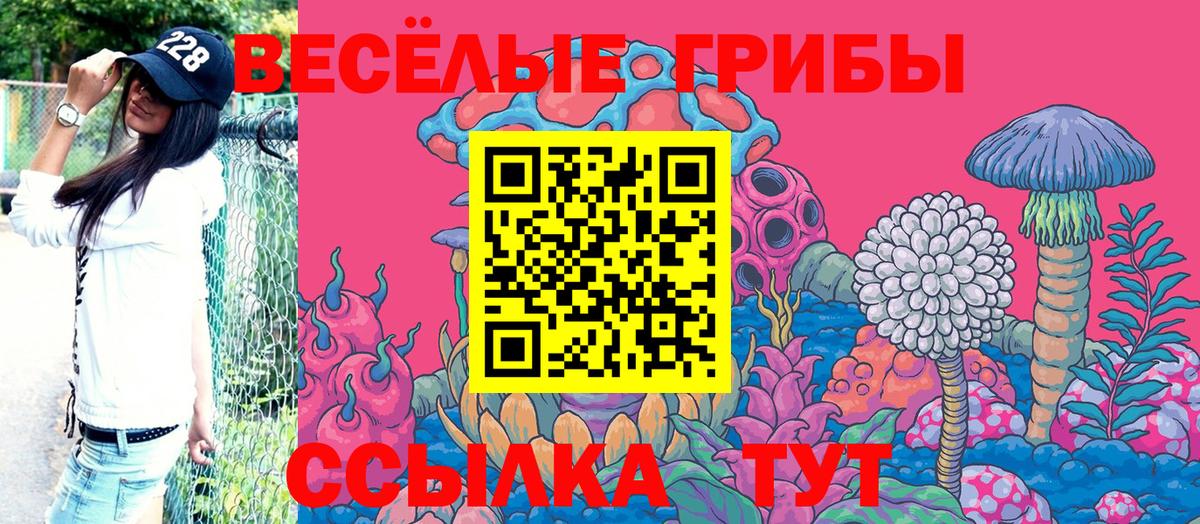 Псилоцибиновые грибы Magic Shrooms  Вход с VPN  Бийск 
