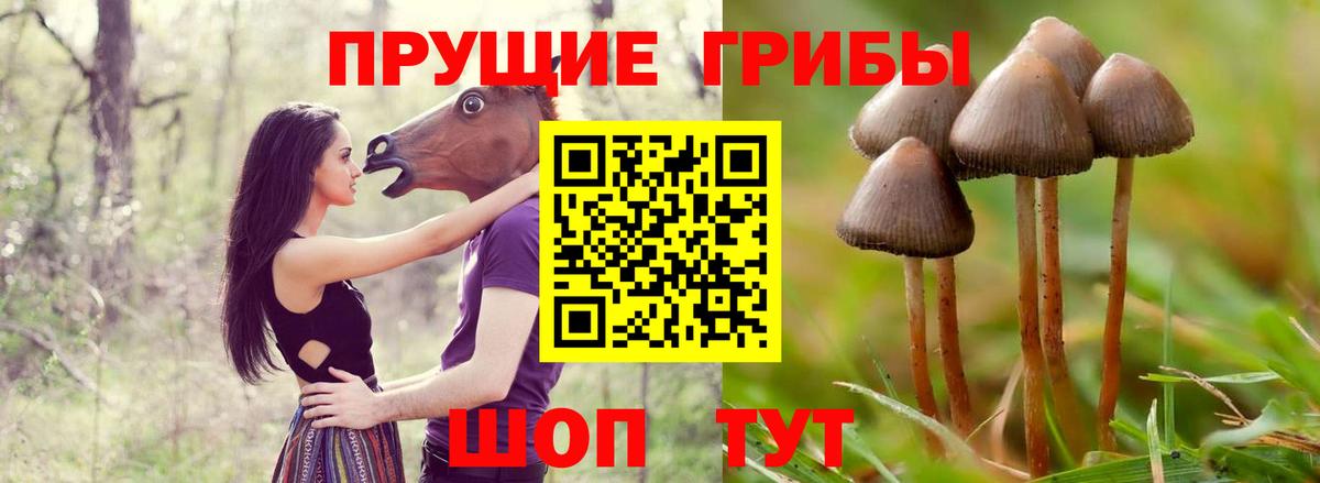 Амфетамин Бийск
