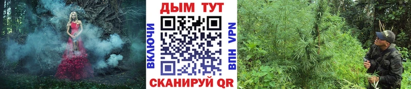 OMG зеркало  Бийск  Канабис MAZAR 